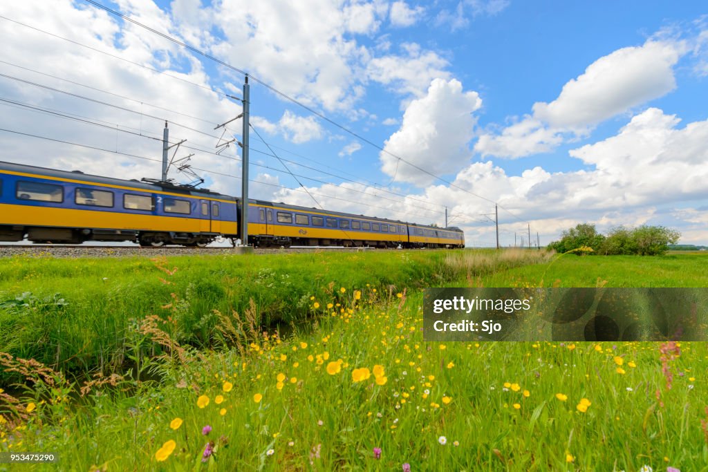 Intercity train of the Dutch Railways driving in springtime landscape