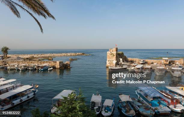 byblos harbour and ruins, jbeil, lebanon - byblos stock pictures, royalty-free photos & images