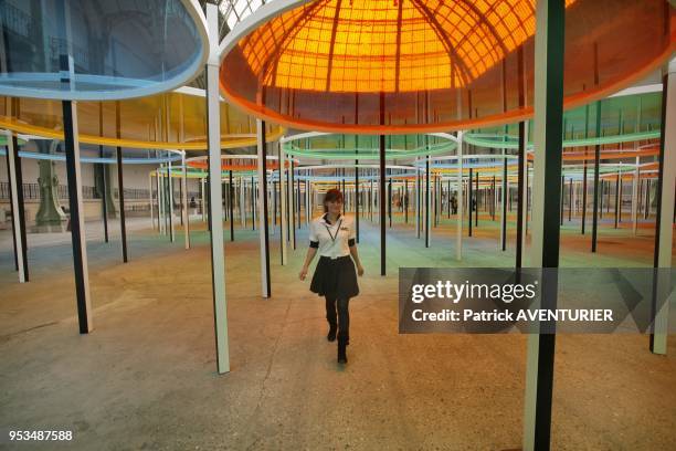 Daniel Buren Unveil "Exentrique-in situ" Artwork At Monumentaon on May 09, 2012 in Paris, France. Monumenta is a unique spectacle in the world. Every...