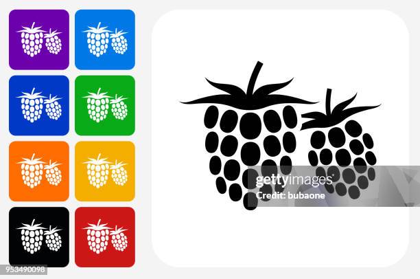 two raspberries icon square button set - raspberry stock illustrations