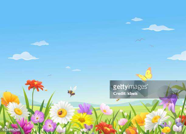 wilde wiesenblumen unter blauem himmel - landschaftspanorama stock-grafiken, -clipart, -cartoons und -symbole