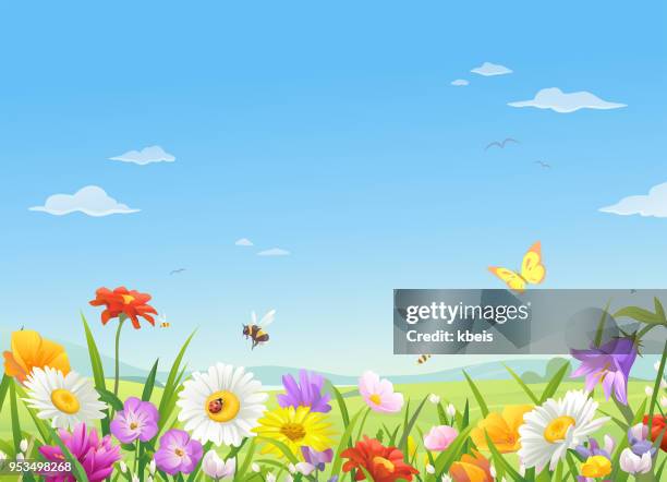 illustrazioni stock, clip art, cartoni animati e icone di tendenza di fiori di prato selvaggio sotto un cielo blu - orizzonte su terra