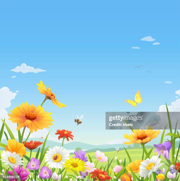 schöne blumen unter blauem himmel - bee flower grass stock-grafiken, -clipart, -cartoons und -symbole