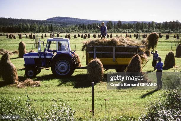 Agriculteurs en période de moisson en 1982, Finlande.