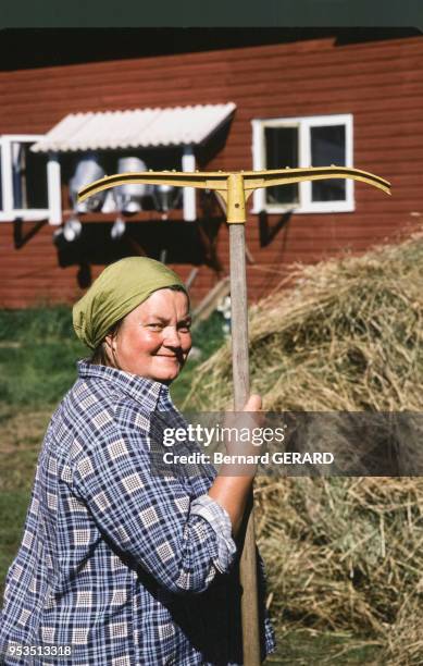 Agricultrice de la province de Laponie pendant la moisson en 1982, Finlande.