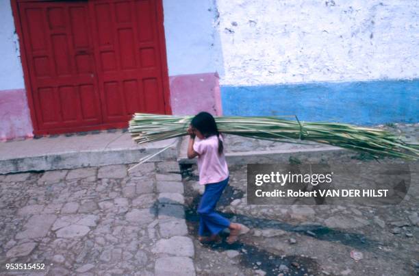 Une petite fille porte sur son épaule une botte de joncs, matériau végétal utilisé pour la vannerie, circa 1980, Mexique.