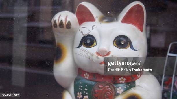 "manekineko" lucky cat - eriko tsukamoto foto e immagini stock