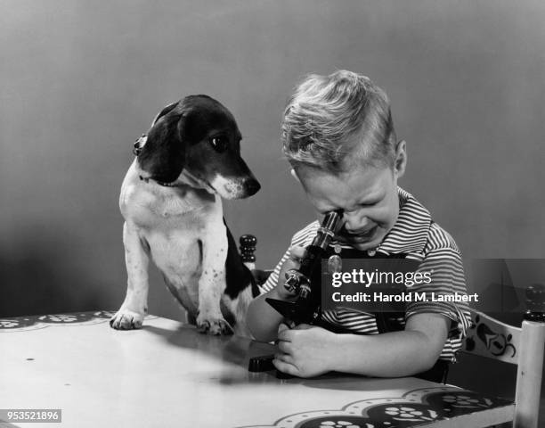 Dog Using Microscope Cartoon 224 Chairs And Microscopes Stock Photos, High-Res Pictures, and Images ...