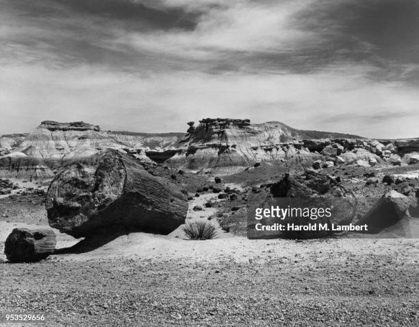 UNITED STATES, ARIZONA, VIEW OF PETRIFIED FOREST NATIONAL PARK