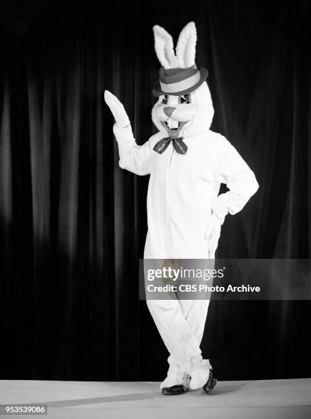 135 Harvey The Rabbit Stock Photos, High-Res Pictures, and Images ...