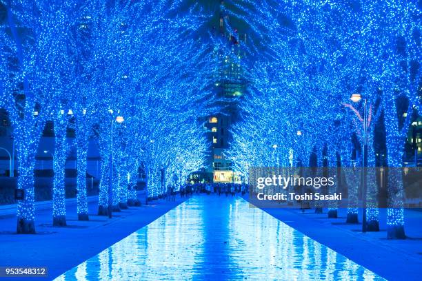 tree-lined blue cave (ao no dokutsu) keyaki namiki (zelkova tree–lined) stands in the night along both side of the path, which are illuminated by million of blue led lights at yoyogi park shibuya tokyo japan on 07 december 2017. led reflects to the path. - japanese zelkova stock pictures, royalty-free photos & images