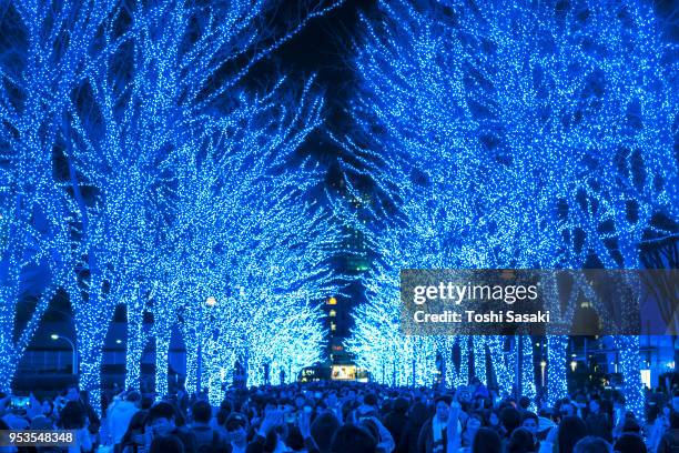 a crowd is walking down and taking photos in the blue cave (ao no dokutsu) keyaki namiki(zelkova tree–lined), which are illuminated by million of blue led lights at yoyogi park shibuya tokyo japan on 07 december 2017. blue led reflects to the path. - japanese zelkova stock pictures, royalty-free photos & images