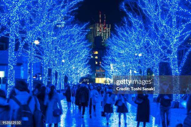 people are walking down and taking photos in the blue cave (ao no dokutsu) keyaki namiki (zelkova tree–lined), which are illuminated by million of blue led lights at yoyogi park shibuya tokyo japan on 11 december 2017. blue led reflects to the path. - japanese zelkova stock pictures, royalty-free photos & images