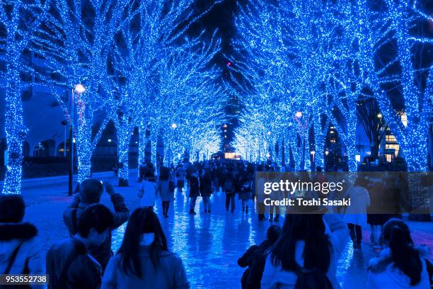 people walk down the illuminated blue cave (ao no dokutsu) keyaki namiki (zelkova tree–lined) stands along both side of the path, which are illuminated by million of blue led lights at yoyogi park shibuya tokyo japan on 07 december 2017. blue led reflects - japanese zelkova stock pictures, royalty-free photos & images