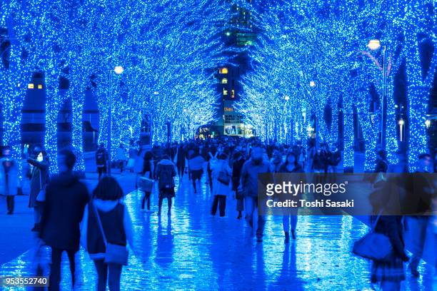 people are walking down and taking photos in the blue cave (ao no dokutsu) keyaki namiki (zelkova tree–lined), which are illuminated by million of blue led lights at yoyogi park shibuya tokyo japan on 11 december 2017. blue led reflects to the path. - japanese zelkova stock pictures, royalty-free photos & images