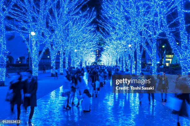 people are walking down and taking photos in the blue cave (ao no dokutsu) keyaki namiki (zelkova tree–lined), which are illuminated by million of blue led lights at yoyogi park shibuya tokyo japan on 11 december 2017. blue led reflects to the path. - japanese zelkova stock pictures, royalty-free photos & images