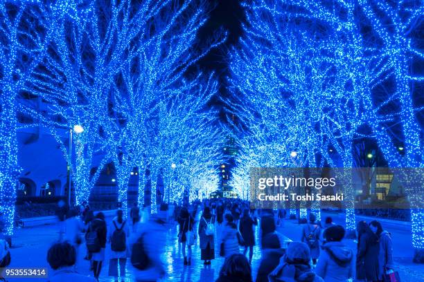 people are walking down and taking photos in the blue cave (ao no dokutsu) keyaki namiki (zelkova tree–lined), which are illuminated by million of blue led lights at yoyogi park shibuya tokyo japan on 11 december 2017. blue led reflects to the path. - japanese zelkova stock pictures, royalty-free photos & images