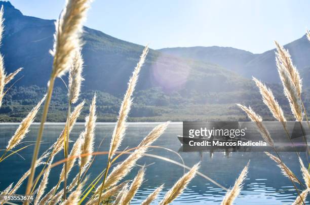 boat navigating lake in patagonia - radicella stockfoto's en -beelden