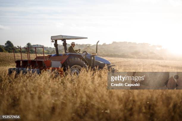 boer trekker chauffeur plukken - wheat farm stockfoto's en -beelden