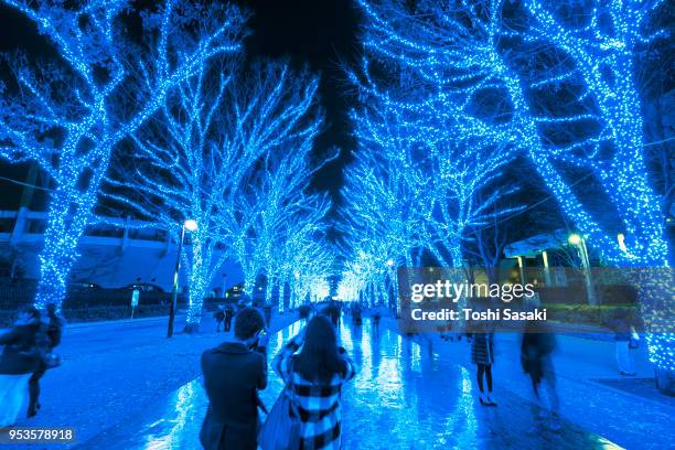 people are walking down and taking photos in the blue cave (ao no dokutsu) keyaki namiki (zelkova tree–lined), which are illuminated by million of blue led lights at yoyogi park shibuya tokyo japan on 07 december 2017. blue led reflects to the path. - japanese zelkova stock pictures, royalty-free photos & images