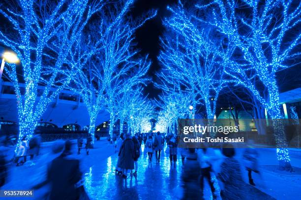 people are walking down and taking photos in the blue cave (ao no dokutsu) keyaki namiki (zelkova tree–lined), which are illuminated by million of blue led lights at yoyogi park shibuya tokyo japan on 11 december 2017. blue led reflects to the path. - japanese zelkova stock pictures, royalty-free photos & images