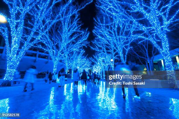 people are walking down and taking photos in the blue cave (ao no dokutsu) keyaki namiki (zelkova tree–lined), which are illuminated by million of blue led lights at yoyogi park shibuya tokyo japan on 11 december 2017. blue led reflects to the path. - japanese zelkova stock pictures, royalty-free photos & images