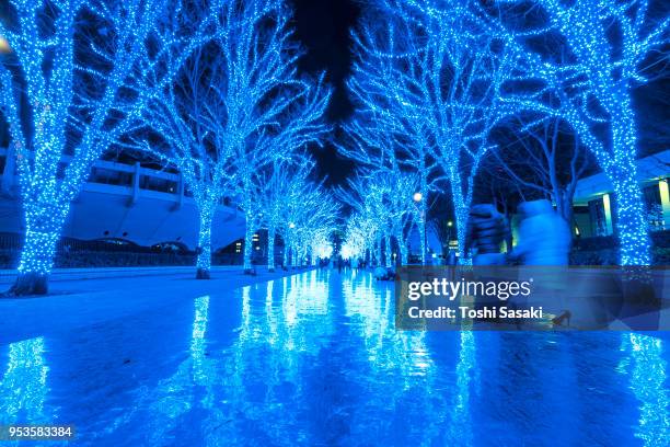 people are walking down and taking photos in the blue cave (ao no dokutsu) keyaki namiki (zelkova tree–lined), which are illuminated by million of blue led lights at yoyogi park shibuya tokyo japan on 11 december 2017. blue led reflects to the path. - japanese zelkova stock pictures, royalty-free photos & images