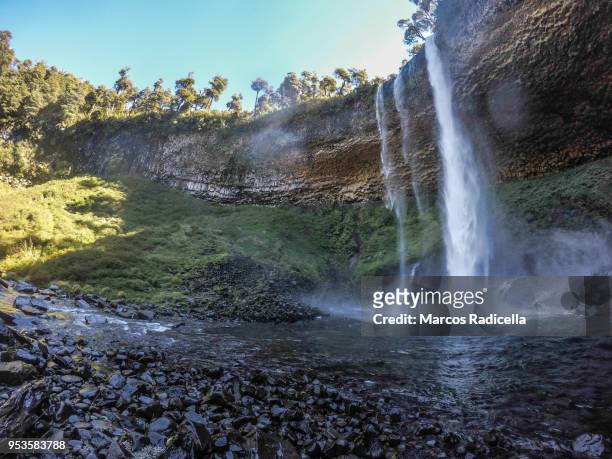patagonian cascade - radicella fotografías e imágenes de stock