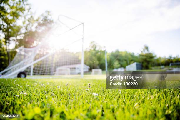 soccer goal under the sunlight - american football field photos et images de collection