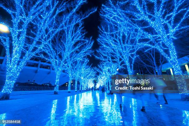 people are walking down and taking photos in the blue cave (ao no dokutsu) keyaki namiki (zelkova tree–lined), which are illuminated by million of blue led lights at yoyogi park shibuya tokyo japan on 11 december 2017. blue led reflects to the path. - japanese zelkova stock pictures, royalty-free photos & images