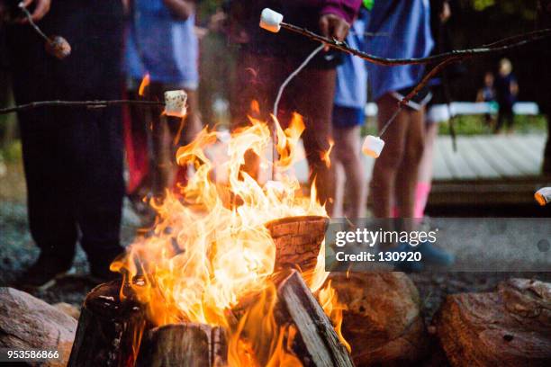 fire up the marshmellow - marshmallow stockfoto's en -beelden
