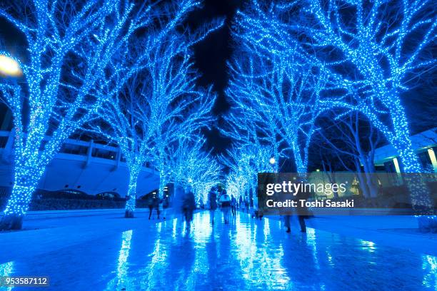 people are walking down and taking photos in the blue cave (ao no dokutsu) keyaki namiki (zelkova tree–lined), which are illuminated by million of blue led lights at yoyogi park shibuya tokyo japan on 11 december 2017. blue led reflects to the path. - japanese zelkova stock pictures, royalty-free photos & images