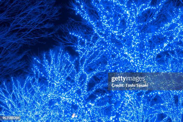 tree-lined blue cave (ao no dokutsu) keyaki namiki (zelkova tree–lined) stands in the night along both side of the path, which are illuminated by million of blue led lights at yoyogi park shibuya tokyo japan on 10 december 2017. - japanese zelkova stock pictures, royalty-free photos & images