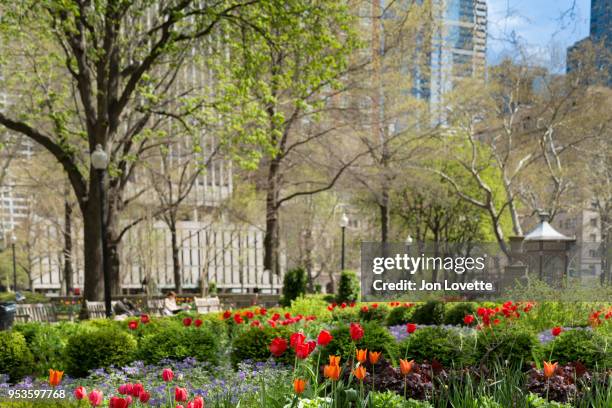 Philadelphia In The Spring Philadelphia Spring Photos and Premium High Res Pictures - Getty Images
