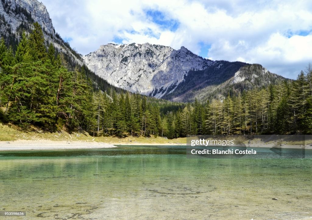 Grüner See or Green Lake in spring