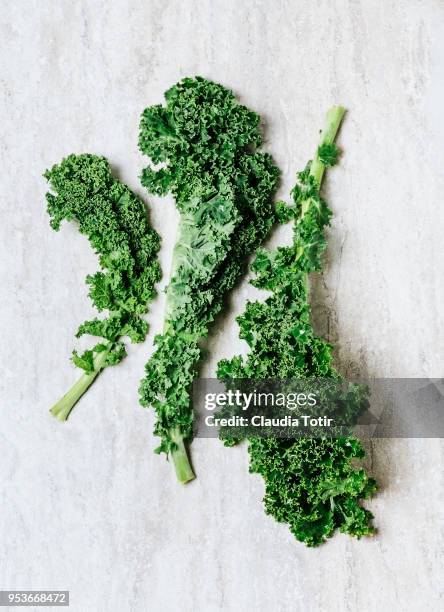 kale - kale stock pictures, royalty-free photos & images