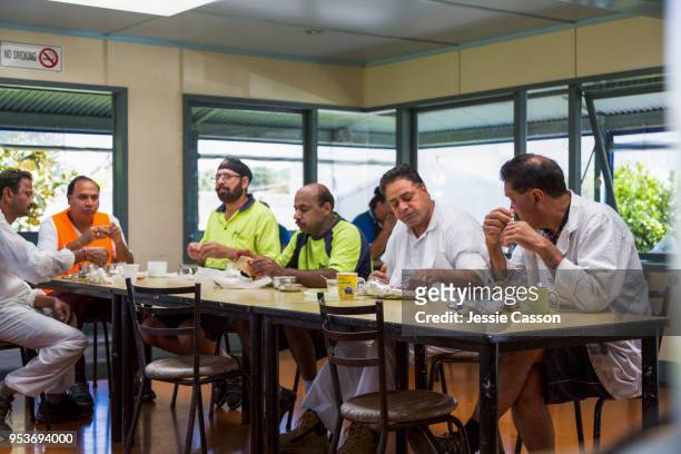 manual workers on lunch break in factory cafeteria - indian lunch stock-fotos und bilder