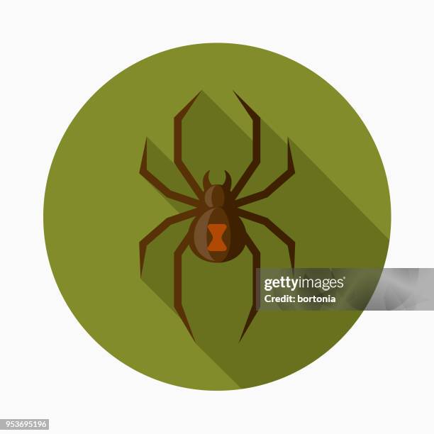 ilustraciones, imágenes clip art, dibujos animados e iconos de stock de icono de halloween araña diseño plano con sombra lateral - black widow spider