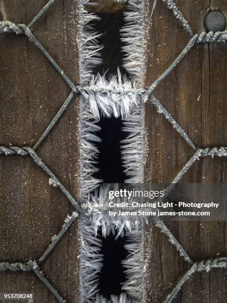 frost spicules on a wooden boardwalk footpath - overland track stock pictures, royalty-free photos & images