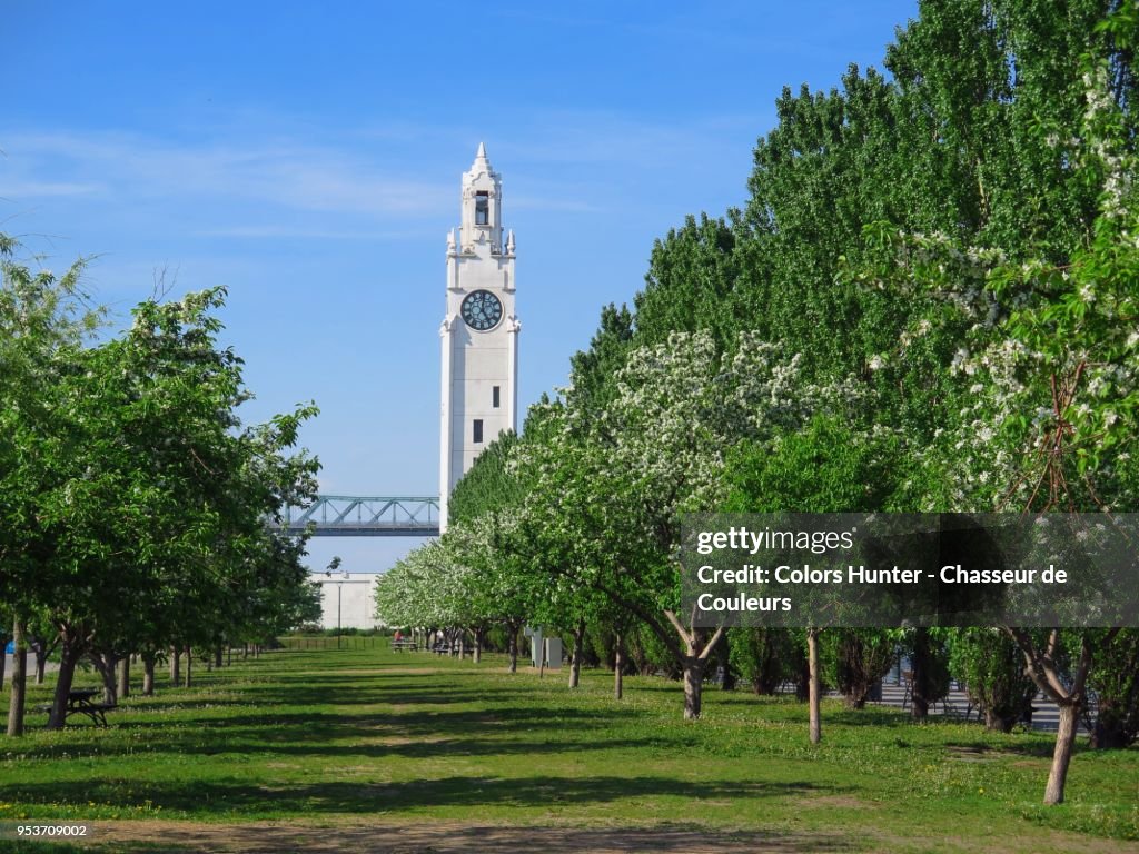 Clock tower & park Montreal