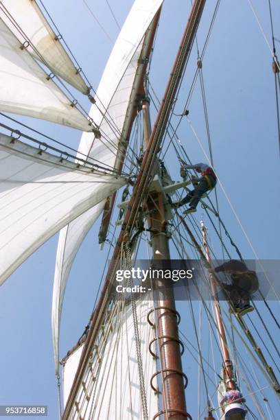 Des gabiers du deux mats-goélette de la Marine Nationale française la "Belle Poule", manoeuvrent le 09 Juillet 1999 dans la mature du vieux navire...