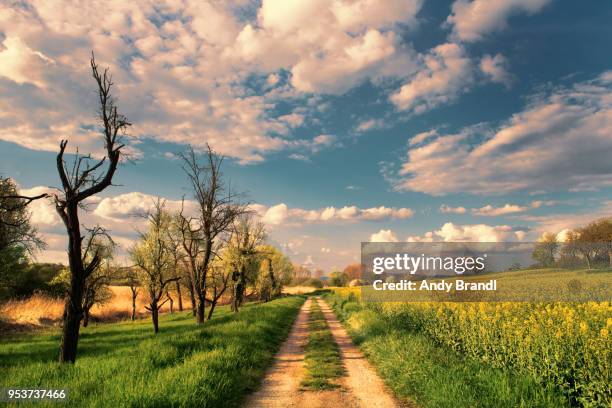 Diffent Sides Different Sides Photos and Premium High Res Pictures - Getty Images
