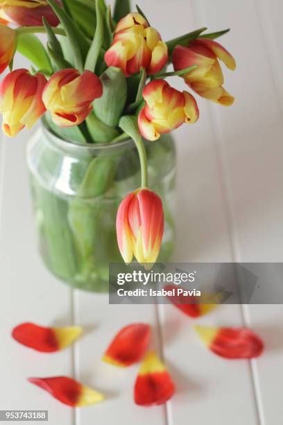 bouquet of fresh tulips in a jar - isabel pavia stock pictures, royalty-free photos & images