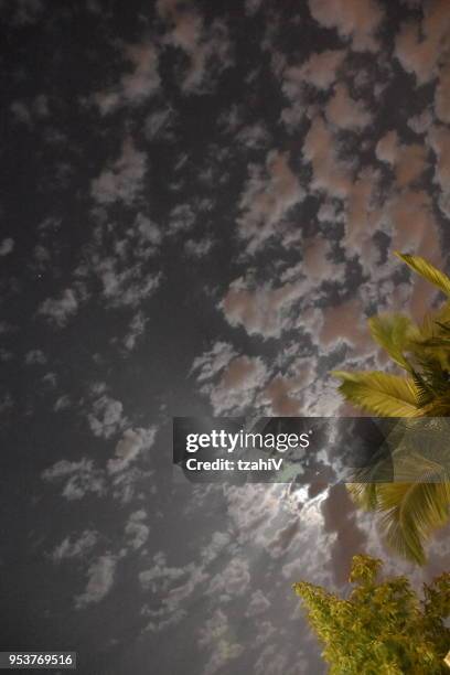 background cloudy skies at night - ominous moon stock pictures, royalty-free photos & images