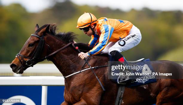 Torcedor ridden by Colm O'Donoghue comes home to win The Longines Sagaro Stakes at Ascot Races.