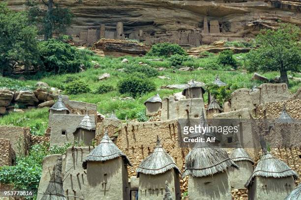 dogon village in the bandiagara escarpment, mopti region, mali - sul bordo - fotografias e filmes do acervo