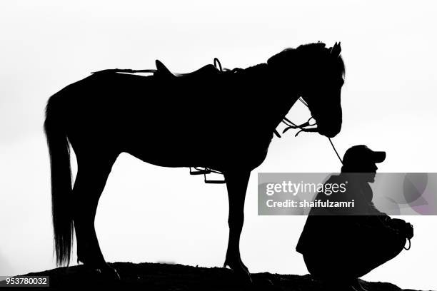 silhouette of unidentified local people or bromo horseman pose for camera at the mountainside of mount bromo, semeru, tengger national park, indonesia - bromo horse stock pictures, royalty-free photos & images