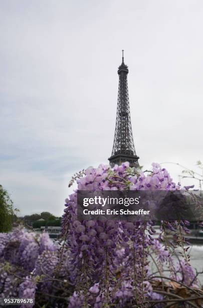 tour eiffel en entier - eric schaeffer stock pictures, royalty-free photos & images