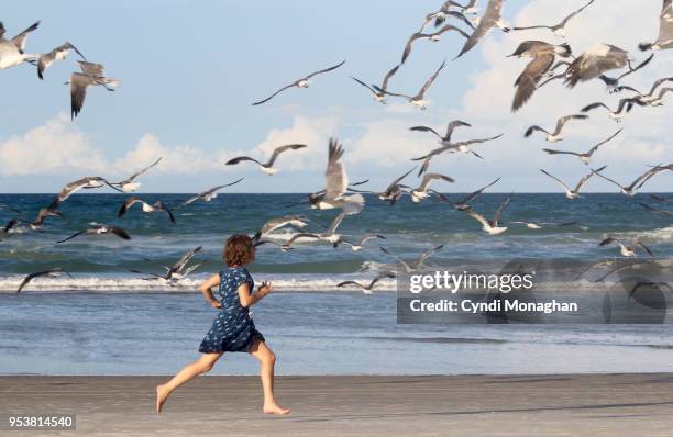 girl running with seagulls - a flock of seagulls stock pictures, royalty-free photos & images