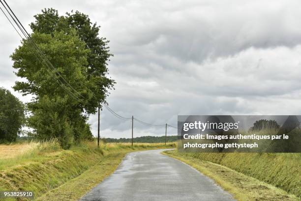 the rural road with isolated trees in along ,through cultivated lands and meadows under light rain - moat stock pictures, royalty-free photos & images